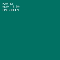 #007162 - Pine Green Color Image